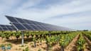 Agrivoltaïsme : la révolution du double usage des terres